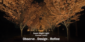 Learn Night Light with Janet Lennox Moyer
